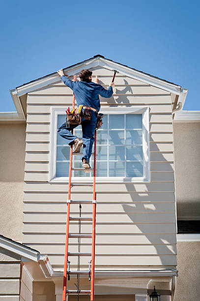 Best Brick Veneer Siding  in USA